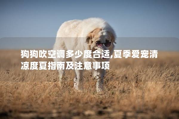 狗狗吹空调多少度合适,夏季爱宠清凉度夏指南及注意事项