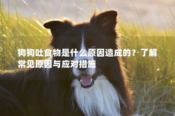 狗狗吐食物是什么原因造成的？了解常见原因与应对措施