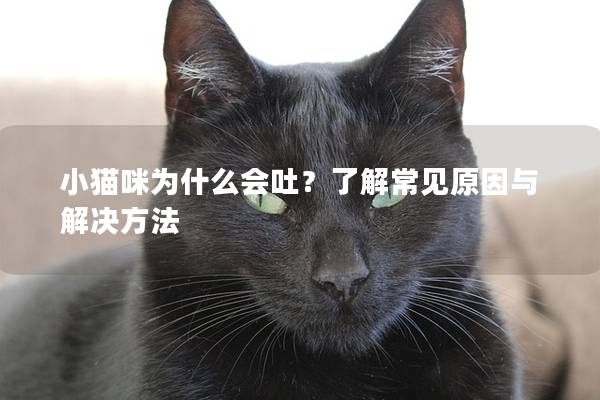 小猫咪为什么会吐？了解常见原因与解决方法