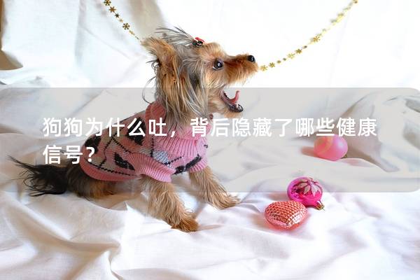 狗狗为什么吐，背后隐藏了哪些健康信号？