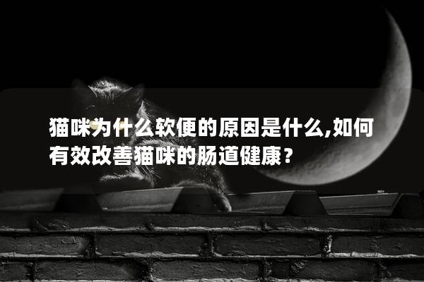 猫咪为什么软便的原因是什么,如何有效改善猫咪的肠道健康？