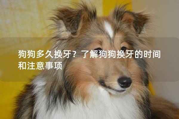 狗狗多久换牙？了解狗狗换牙的时间和注意事项