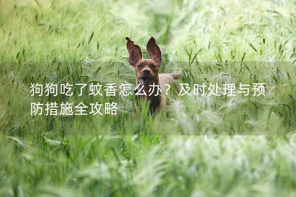 狗狗吃了蚊香怎么办？及时处理与预防措施全攻略