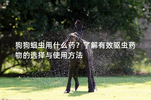 狗狗蛔虫用什么药？了解有效驱虫药物的选择与使用方法