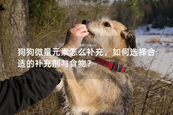 狗狗微量元素怎么补充，如何选择合适的补充剂与食物？