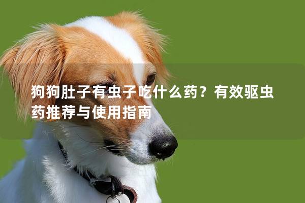 狗狗肚子有虫子吃什么药？有效驱虫药推荐与使用指南