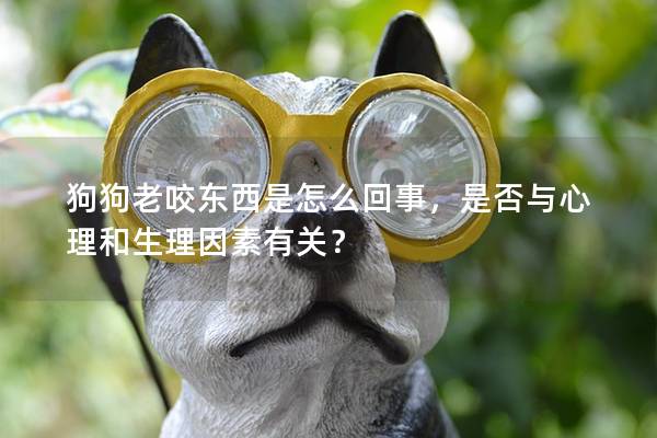 狗狗老咬东西是怎么回事，是否与心理和生理因素有关？
