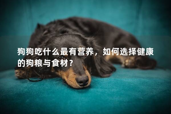 狗狗吃什么最有营养，如何选择健康的狗粮与食材？