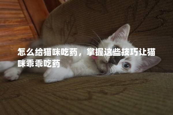 怎么给猫咪吃药，掌握这些技巧让猫咪乖乖吃药