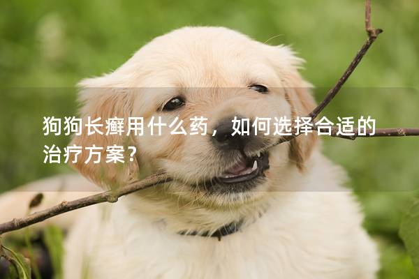 狗狗长癣用什么药，如何选择合适的治疗方案？