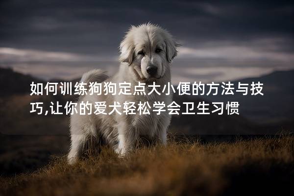 如何训练狗狗定点大小便的方法与技巧,让你的爱犬轻松学会卫生习惯