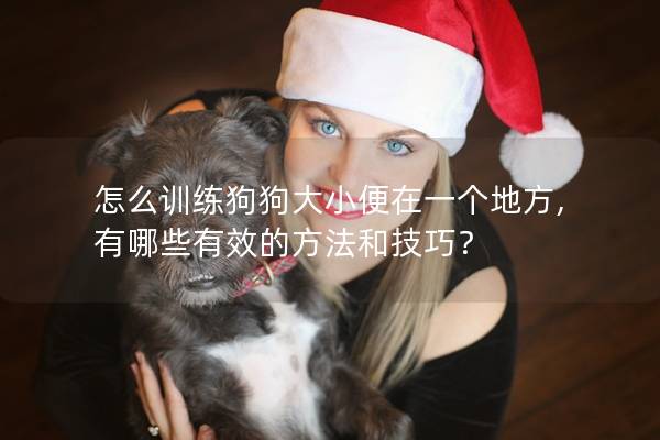 怎么训练狗狗大小便在一个地方, 有哪些有效的方法和技巧？