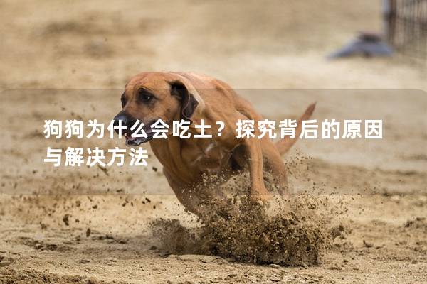 狗狗为什么会吃土？探究背后的原因与解决方法