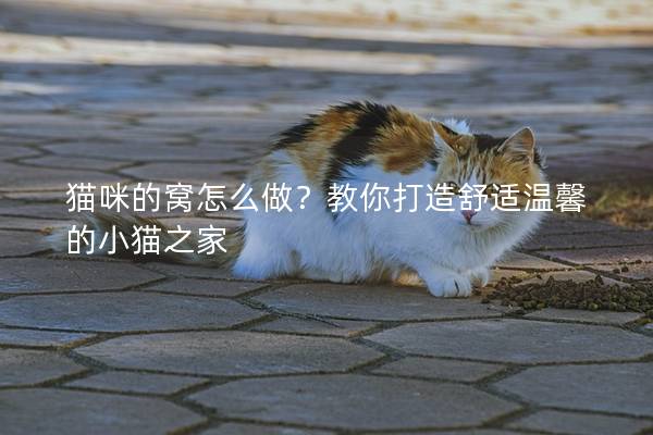 猫咪的窝怎么做？教你打造舒适温馨的小猫之家