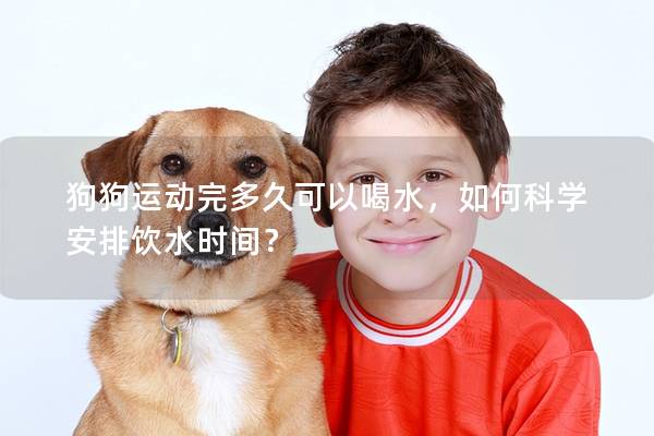 狗狗运动完多久可以喝水，如何科学安排饮水时间？