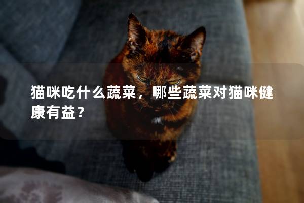 猫咪吃什么蔬菜，哪些蔬菜对猫咪健康有益？