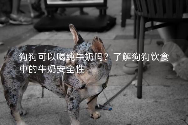 狗狗可以喝纯牛奶吗？了解狗狗饮食中的牛奶安全性
