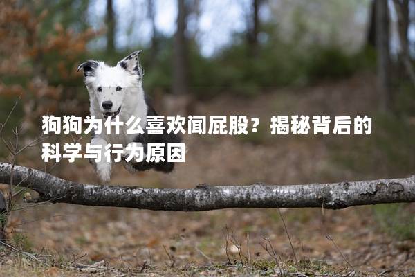 狗狗为什么喜欢闻屁股？揭秘背后的科学与行为原因