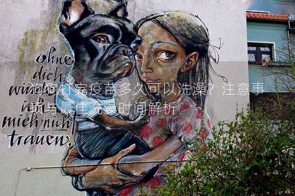 狗狗打完疫苗多久可以洗澡？注意事项与最佳洗澡时间解析