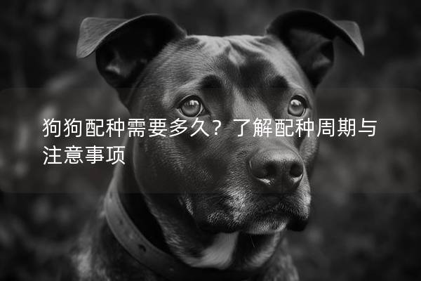 狗狗配种需要多久？了解配种周期与注意事项
