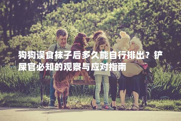 狗狗误食袜子后多久能自行排出？铲屎官必知的观察与应对指南