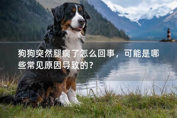 狗狗突然腿瘸了怎么回事，可能是哪些常见原因导致的？