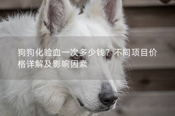 狗狗化验血一次多少钱？不同项目价格详解及影响因素