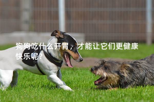 狗狗吃什么开胃，才能让它们更健康快乐呢？