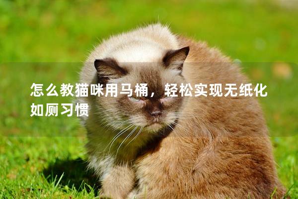 怎么教猫咪用马桶，轻松实现无纸化如厕习惯