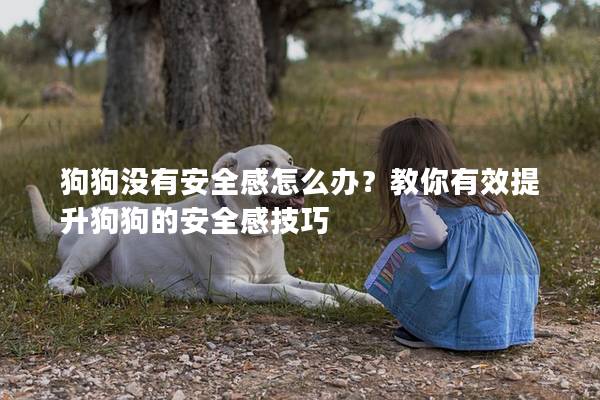 狗狗没有安全感怎么办？教你有效提升狗狗的安全感技巧