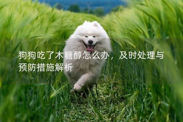 狗狗吃了木糖醇怎么办，及时处理与预防措施解析