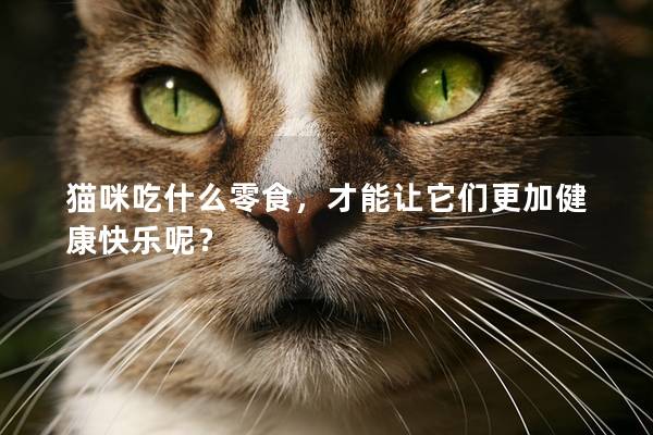猫咪吃什么零食，才能让它们更加健康快乐呢？