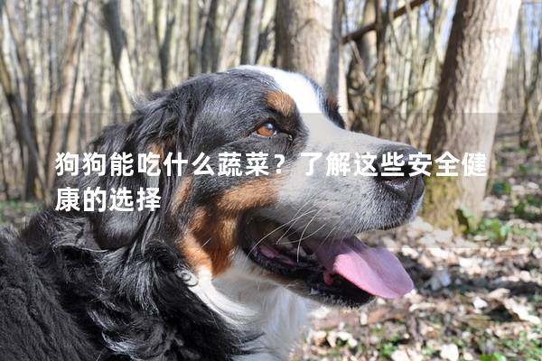 狗狗能吃什么蔬菜？了解这些安全健康的选择