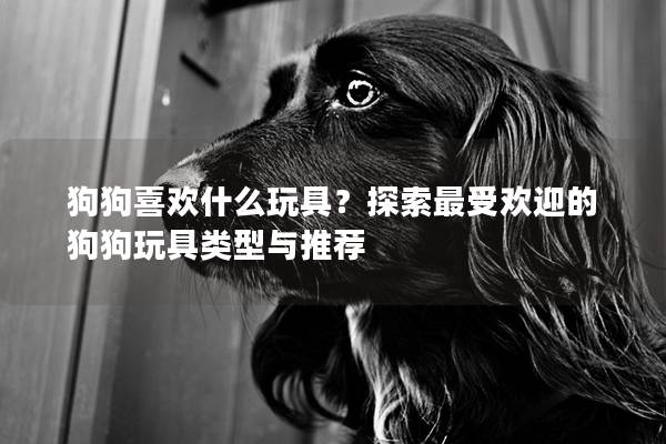 狗狗喜欢什么玩具？探索最受欢迎的狗狗玩具类型与推荐