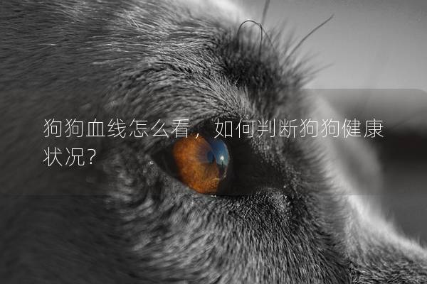 狗狗血线怎么看，如何判断狗狗健康状况？