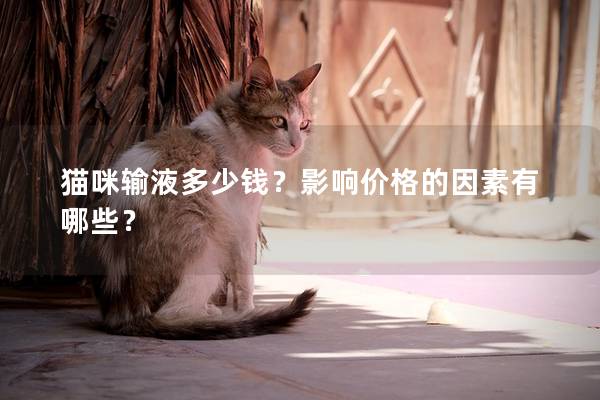 猫咪输液多少钱？影响价格的因素有哪些？