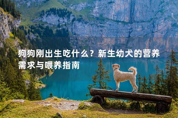 狗狗刚出生吃什么？新生幼犬的营养需求与喂养指南