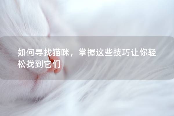 如何寻找猫咪，掌握这些技巧让你轻松找到它们