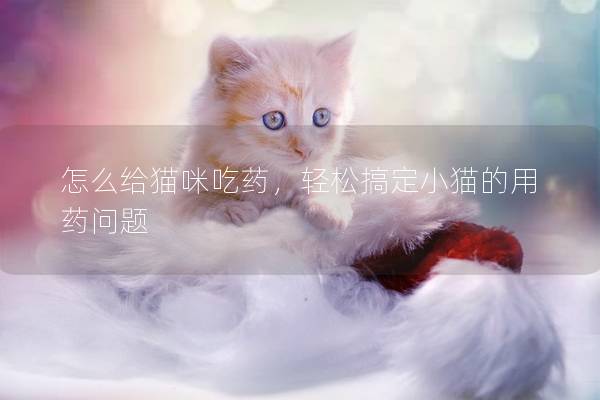 怎么给猫咪吃药，轻松搞定小猫的用药问题