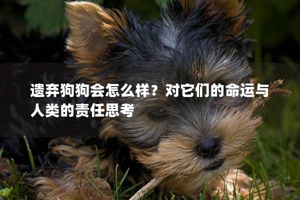 遗弃狗狗会怎么样？对它们的命运与人类的责任思考