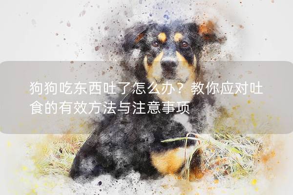 狗狗吃东西吐了怎么办？教你应对吐食的有效方法与注意事项