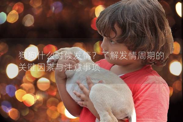 狗狗什么时候发情？了解发情周期的关键因素与注意事项