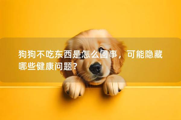 狗狗不吃东西是怎么回事，可能隐藏哪些健康问题？