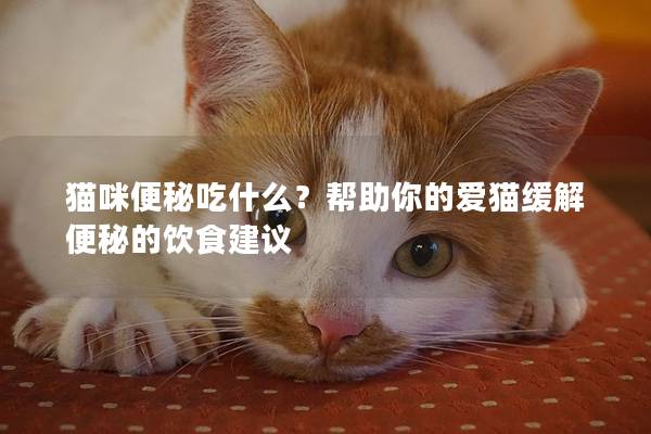 猫咪便秘吃什么？帮助你的爱猫缓解便秘的饮食建议